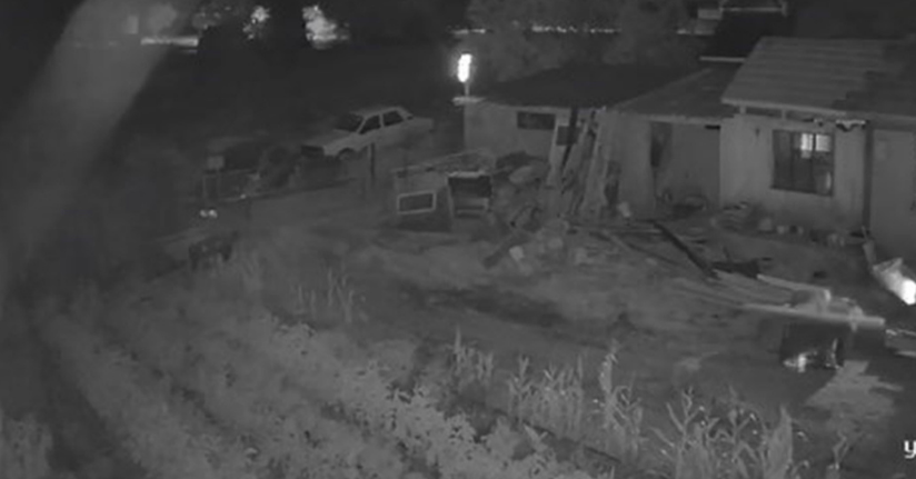 Sındırgı depreminde beşik gibi sallandı...O anlar kamerada