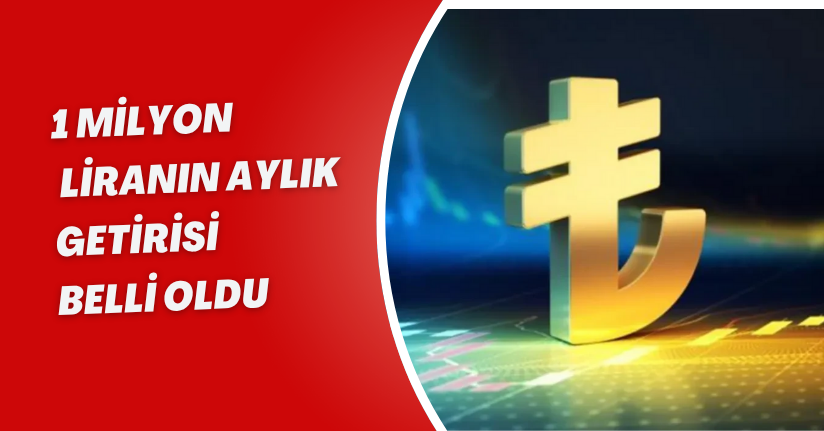 Mevduatta son tablo! 1 milyon liranın aylık getirisi belli oldu