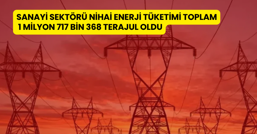 Sanayi sektörü nihai enerji tüketimi toplam 1 milyon 717 bin 368 terajul oldu