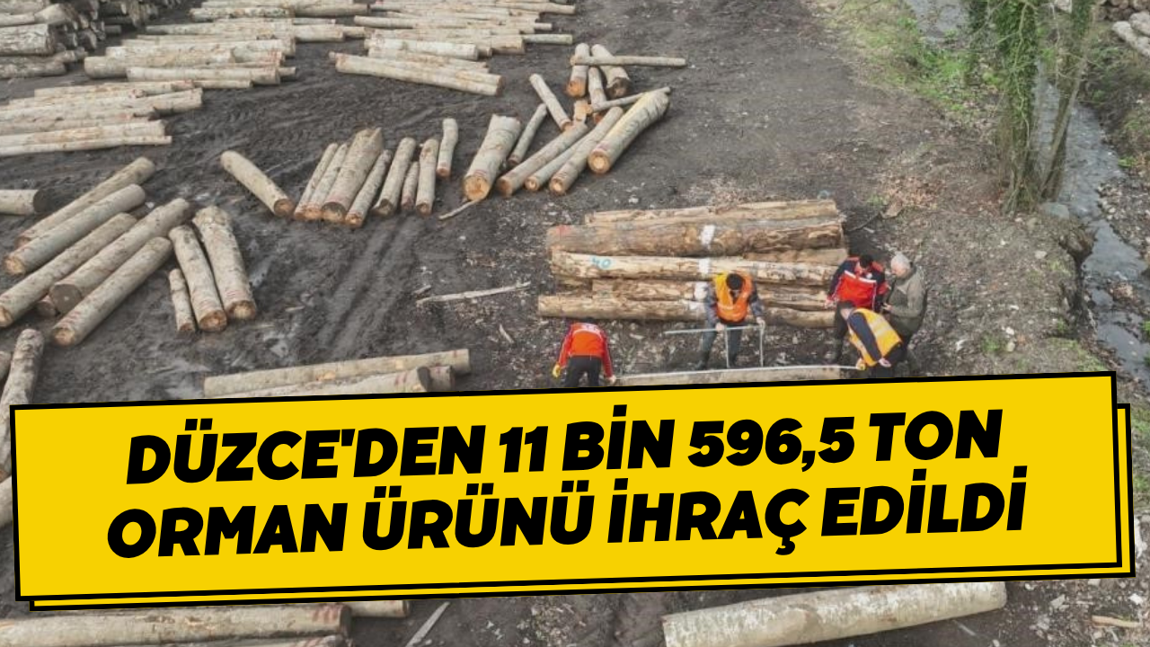 Düzce'den 11 Bin 596,5 Ton Orman Ürünü İhraç Edildi