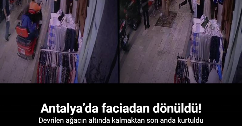 Antalya’da faciadan dönüldü: Araçların üzerine devrilen ağacın altında kalmaktan son anda kurtuldu
