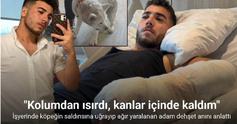 İşyerindeki köpeğin saldırısı nedeniyle ağır yaralanan adam o anları anlattı