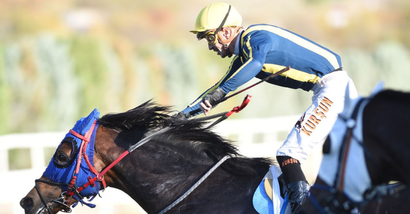 45. Cumhuriyet Koşusu ile 87. Cumhurbaşkanlığı Koşusu yapıldı