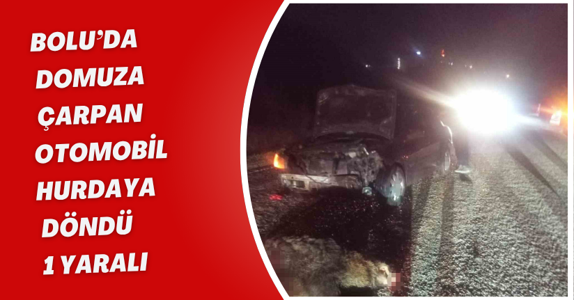 Bolu’da domuza çarpan otomobil hurdaya döndü: 1 yaralı