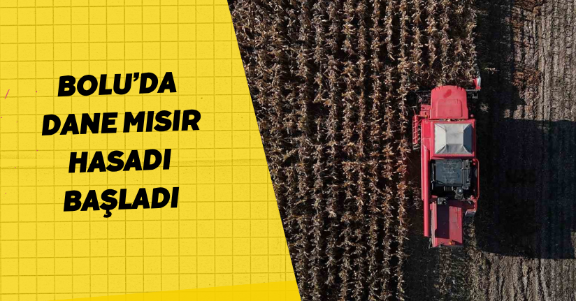 Bolu’da dane mısır hasadı başladı