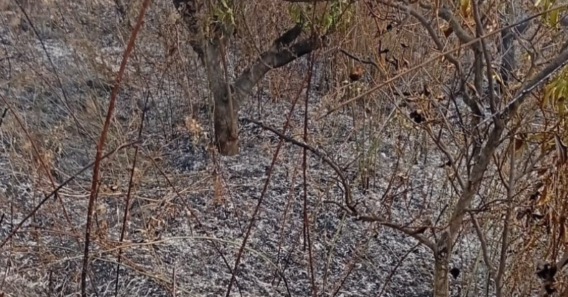 Yaşlı adam, bahçesini temizlerken yangında hayatını kaybetti