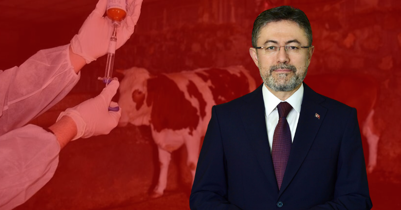 Bakanlık: Şap salgını kontrol altına alındı