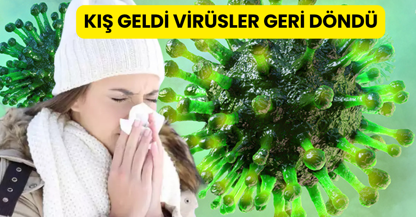 Kış geldi, virüsler geri döndü