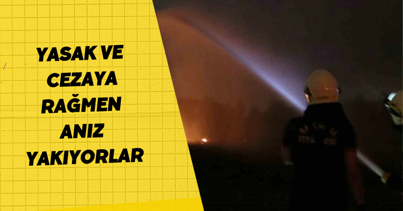 Yasak ve Cezaya Rağmen Anız Yakıyorlar