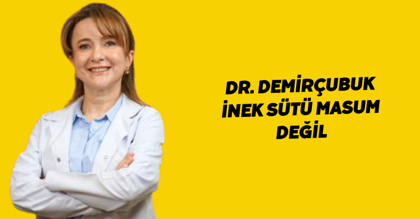 Dr. Demirçubuk, 