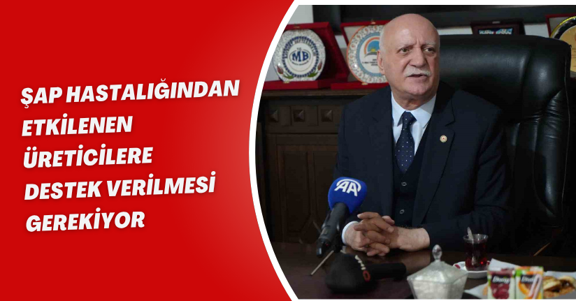 Şap hastalığından etkilenen üreticilere destek verilmesi gerekiyor