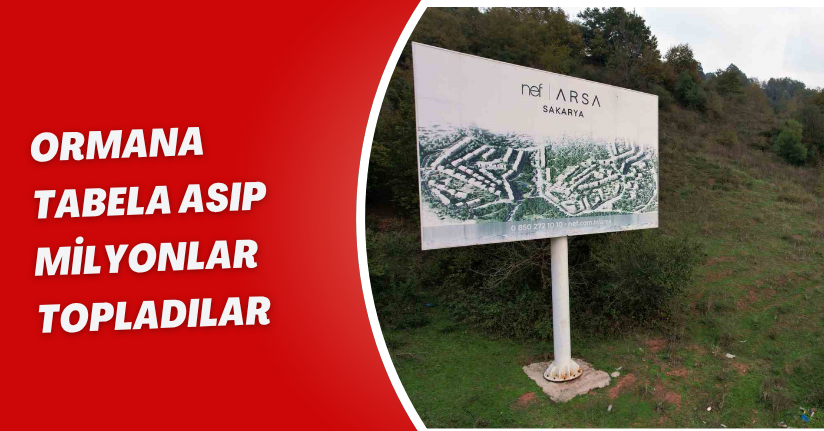 Ormana tabela asıp milyonlar topladılar