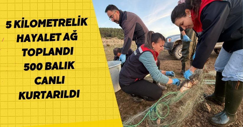 5 kilometrelik hayalet ağ toplandı: 500 balık canlı kurtarıldı