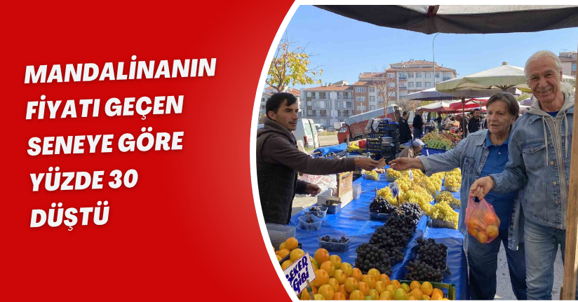 Mandalinanın fiyatı geçen seneye göre yüzde 30 düştü
