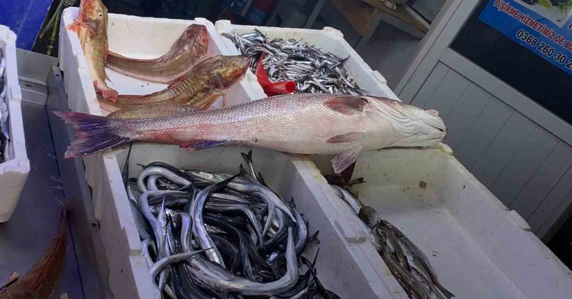 Oltayla yakalanan deniz levreği 9 bin liraya satıldı