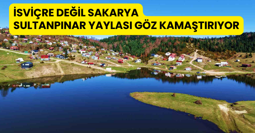İsviçre değil Sakarya: Sultanpınar Yaylası göz kamaştırıyor