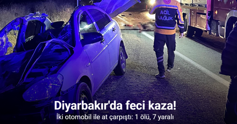 Diyarbakır’da iki otomobil ile at çarpıştı: 1 ölü, 7 yaralı