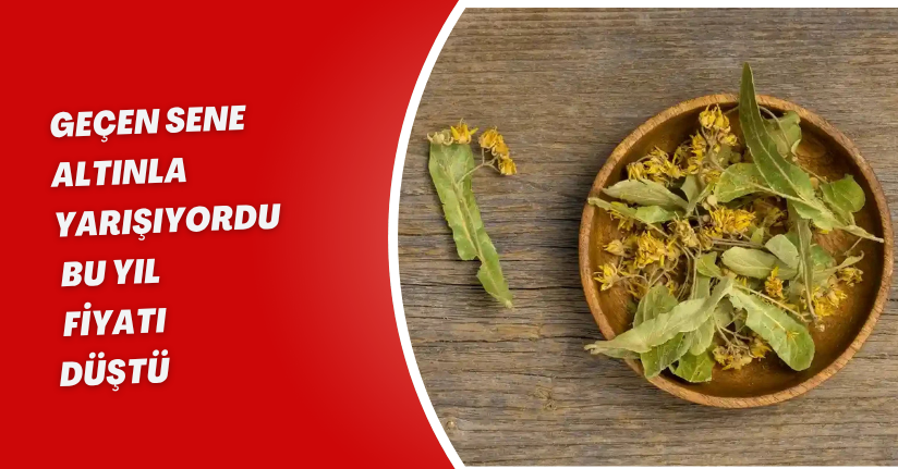 Geçen sene altınla yarışıyordu, bu yıl fiyatı düştü