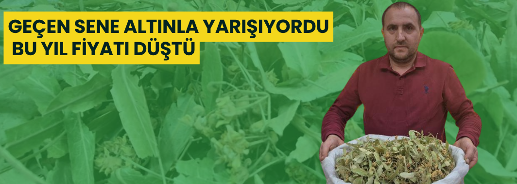 Geçen Sene Altınla Yarışıyordu, Bu Yıl Fiyatı Düştü