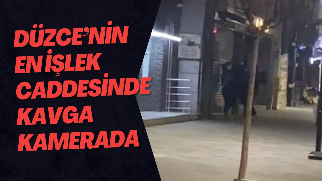Düzce’nin En İşlek Caddesinde Kavga Kamerada