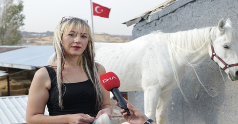 Kadın kuaförü, yelelerine taktığı kaynaklarla atları güzellik yarışmalarına hazırlıyor