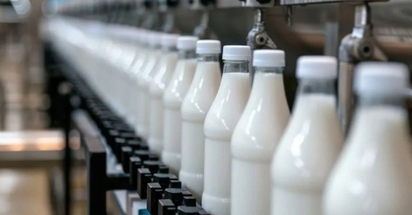 Eylül ayında ticari süt işletmelerince 892 bin 886 ton inek sütü toplandı