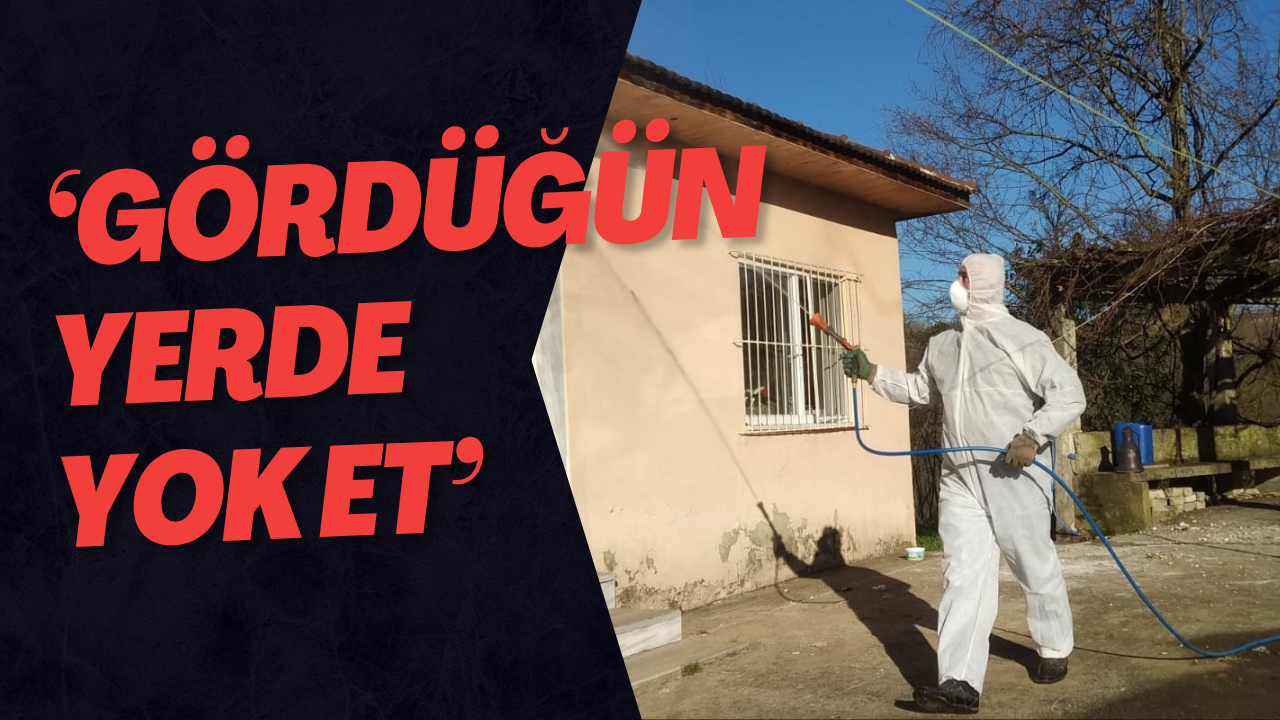 ‘Gördüğün Yerde Yok Et’