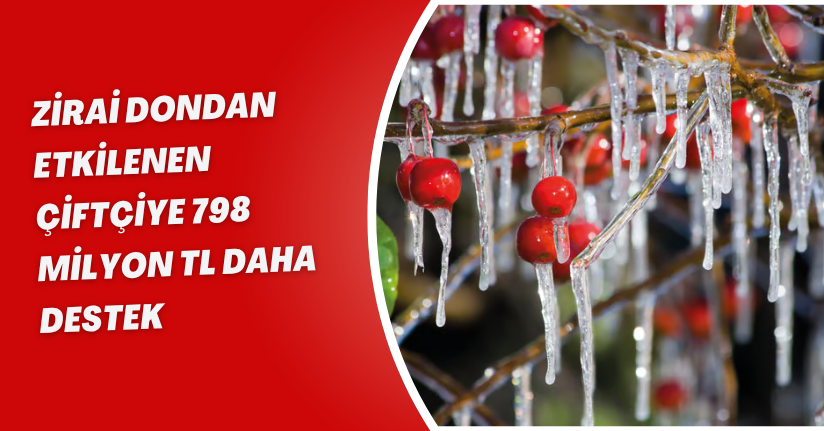 Zirai dondan etkilenen çiftçiye 798 milyon TL daha destek