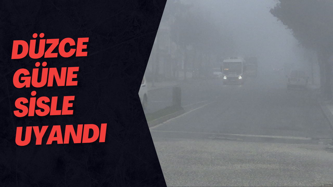 Düzce Güne Sisle Uyandı