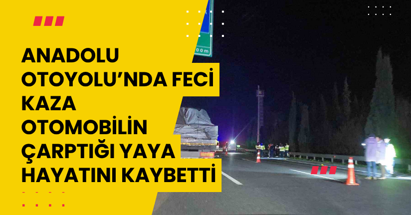 Anadolu Otoyolu’nda feci kaza: Otomobilin çarptığı yaya hayatını kaybetti