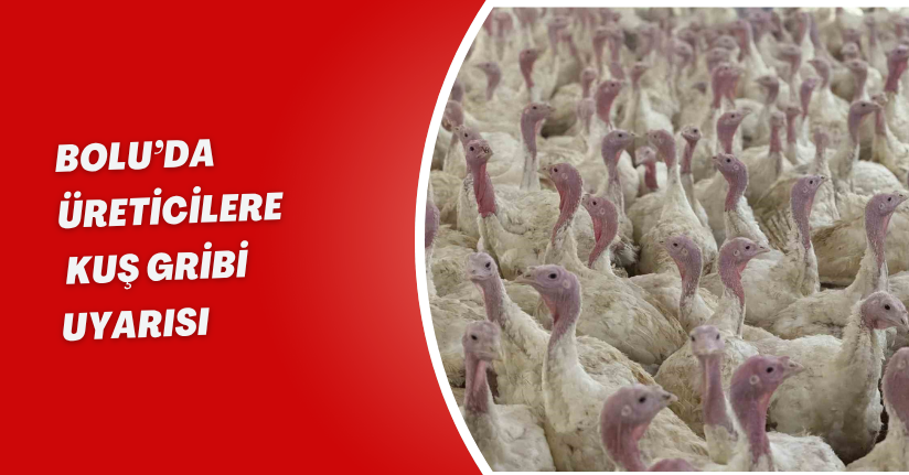 Bolu’da üreticilere 