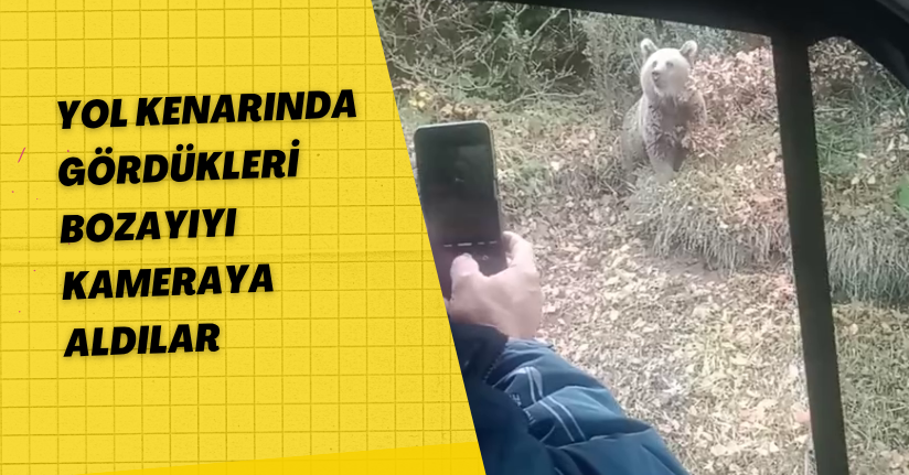 Yol kenarında gördükleri bozayıyı kameraya aldılar