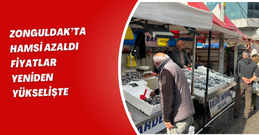 Zonguldak’ta hamsi azaldı, fiyatlar yeniden yükselişte
