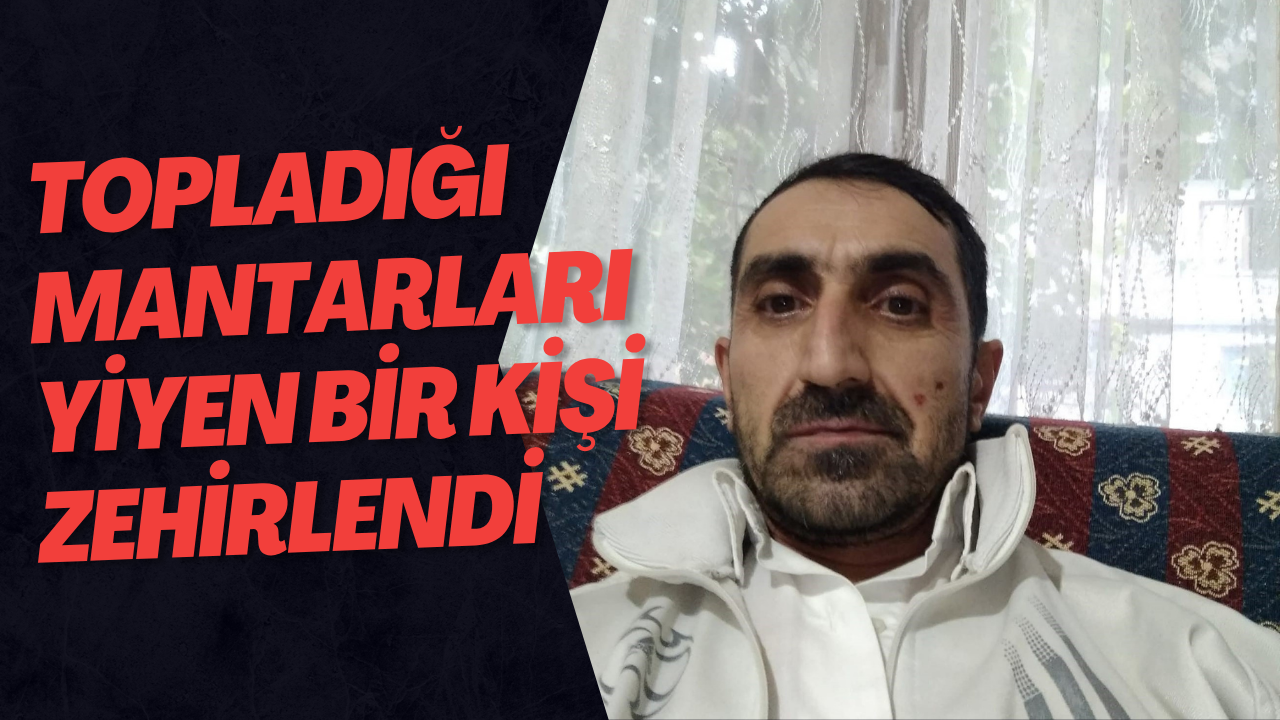 Topladığı Mantarları Yiyen Bir Kişi Zehirlendi