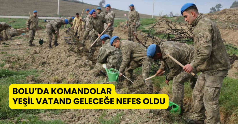 Bolu’da komandolar yeşil vatanda geleceğe nefes oldu