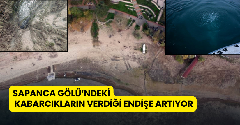 Sapanca Gölü’ndeki kabarcıkların verdiği endişe artıyor