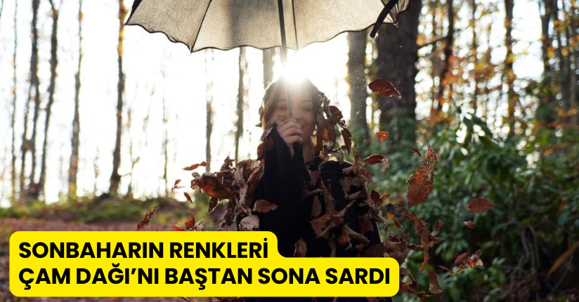 Sonbaharın renkleri Çam Dağı’nı baştan sona sardı