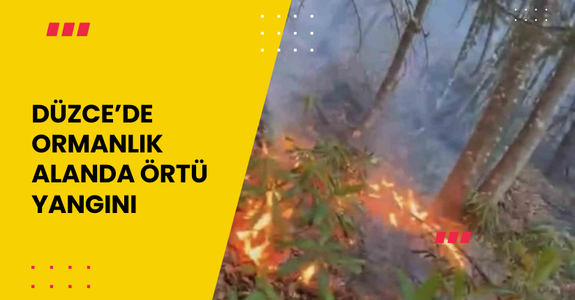 Düzce’de ormanlık alanda örtü yangını
