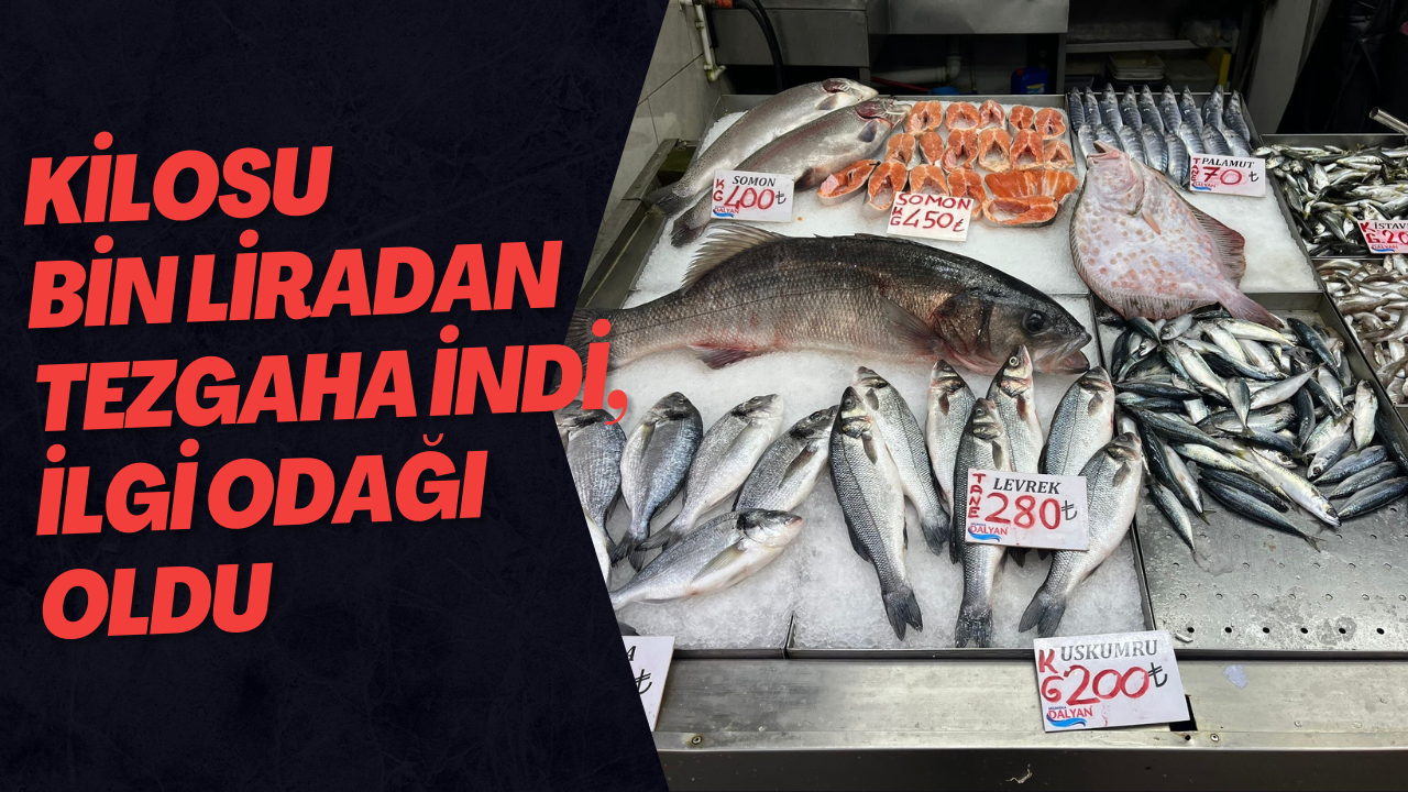 Kilosu Bin Liradan Tezgaha İndi, İlgi Odağı Oldu