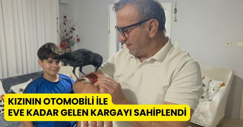 Kızının otomobili ile eve kadar gelen kargayı sahiplendi