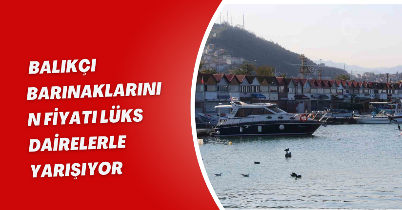Balıkçı barınaklarının fiyatı lüks dairelerle yarışıyor