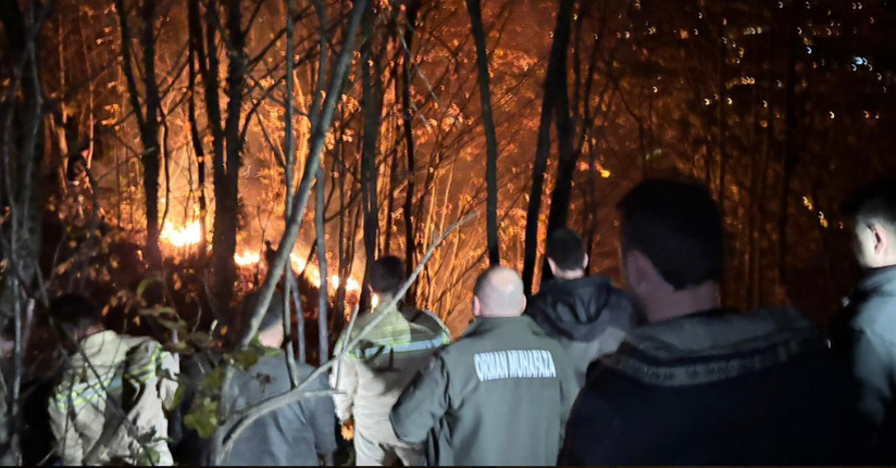 Ordu’da ormanlık alanda yangın