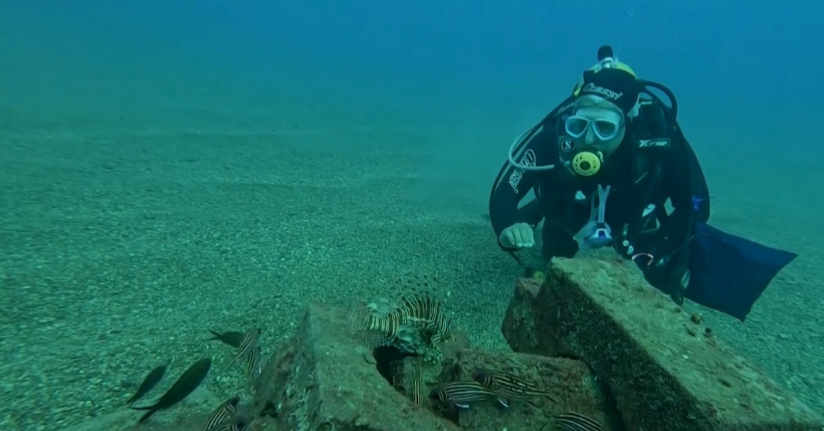 Profesör deniz dibinde taşlardan balıklara yuva yaptı: 12 tür barış içinde yaşıyor