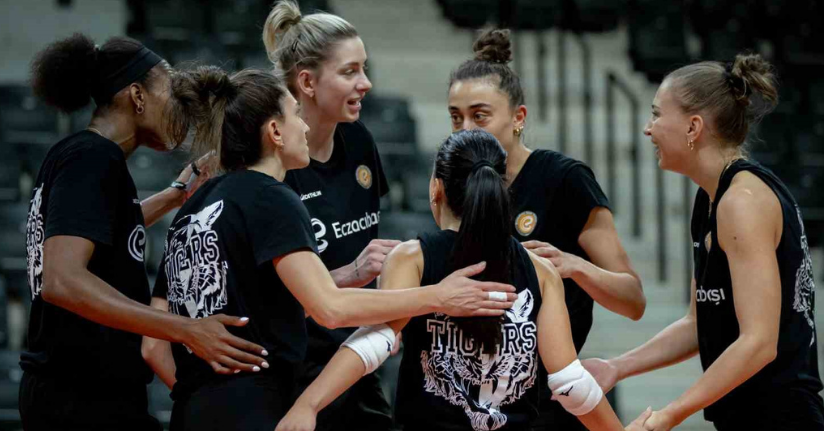 Eczacıbaşı Dynavit, Şampiyonlar Ligi sahnesinde