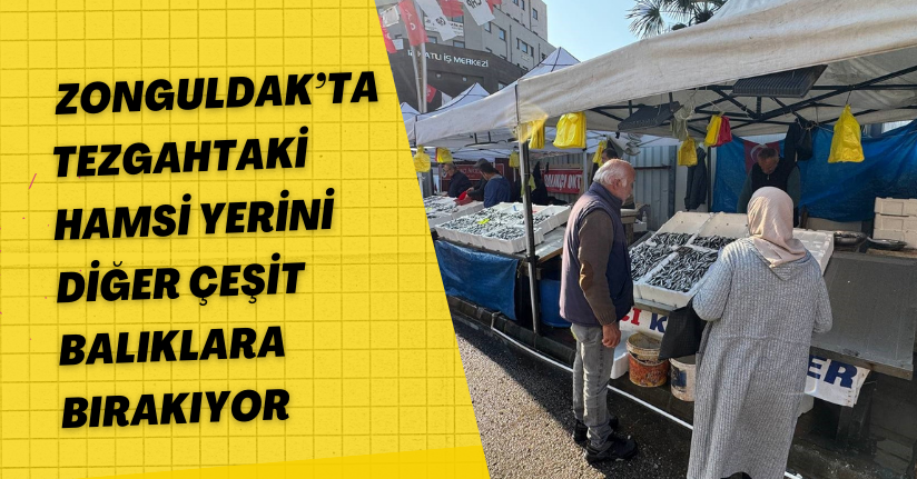 Zonguldak’ta tezgahtaki hamsi yerini diğer çeşit balıklara bırakıyor