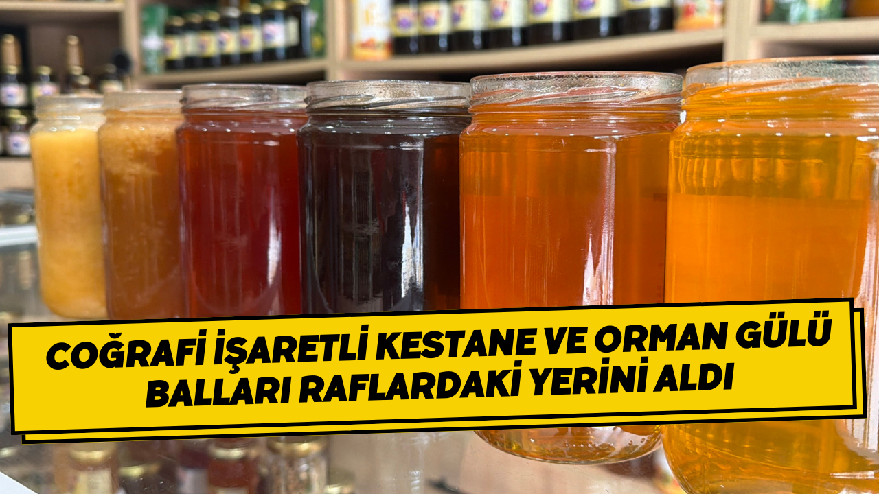 Coğrafi İşaretli Kestane Ve Orman Gülü Balları Raflardaki Yerini Aldı