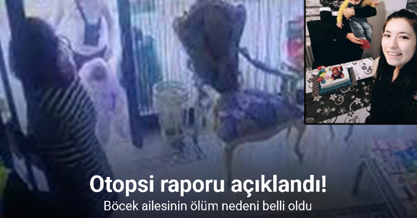 Otopsi raporu açıklandı! Böcek ailesinin ölüm nedeni belli oldu