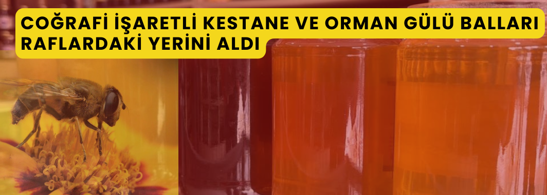 Coğrafi İşaretli Kestane Ve Orman Gülü Balları Raflardaki Yerini Aldı