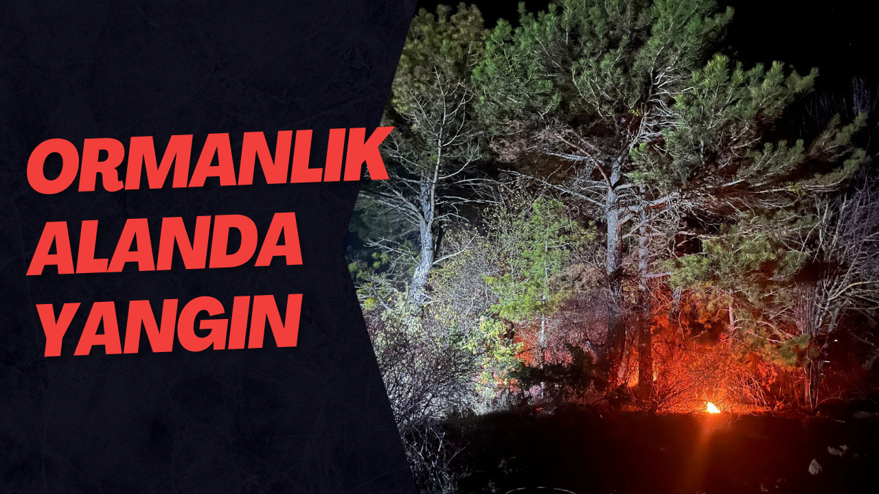 Ormanlık Alanda Yangın