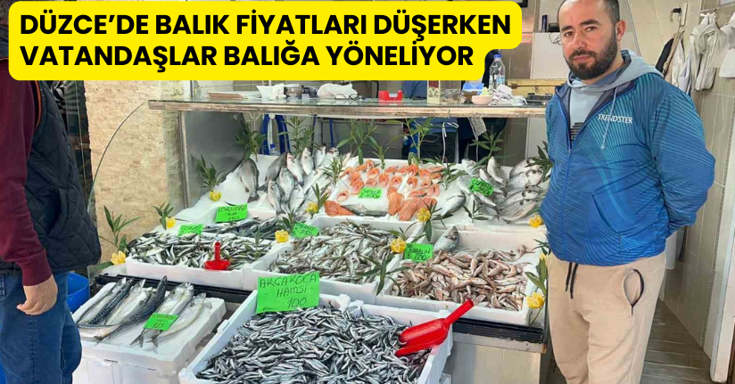 Düzce’de balık fiyatları düşerken, vatandaşlar balığa yöneliyor